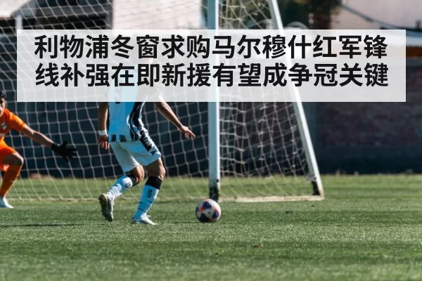 利物浦冬窗求购马尔穆什红军锋线补强在即新援有望成争冠关键